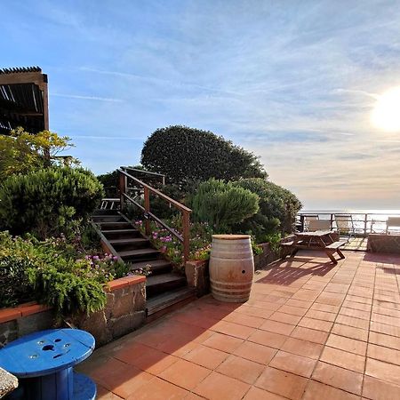 Le Dune Sea View Apartments - Futura Cav San Vincenzo Exteriör bild
