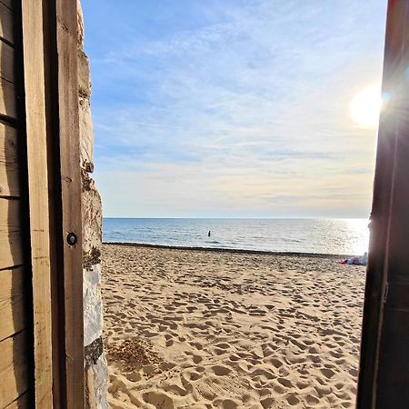 Le Dune Sea View Apartments - Futura Cav San Vincenzo Exteriör bild